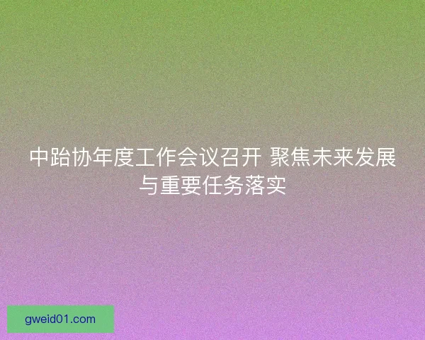 中跆协年度工作会议召开 聚焦未来发展与重要任务落实